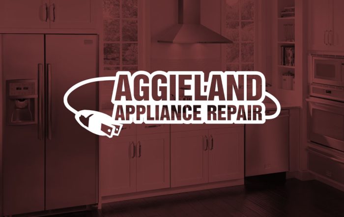 Dryer Repair In Indian Lakes